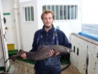 Daniel has worked with deep sea sharks extensively such as this specimen collected in the North Atlantic.